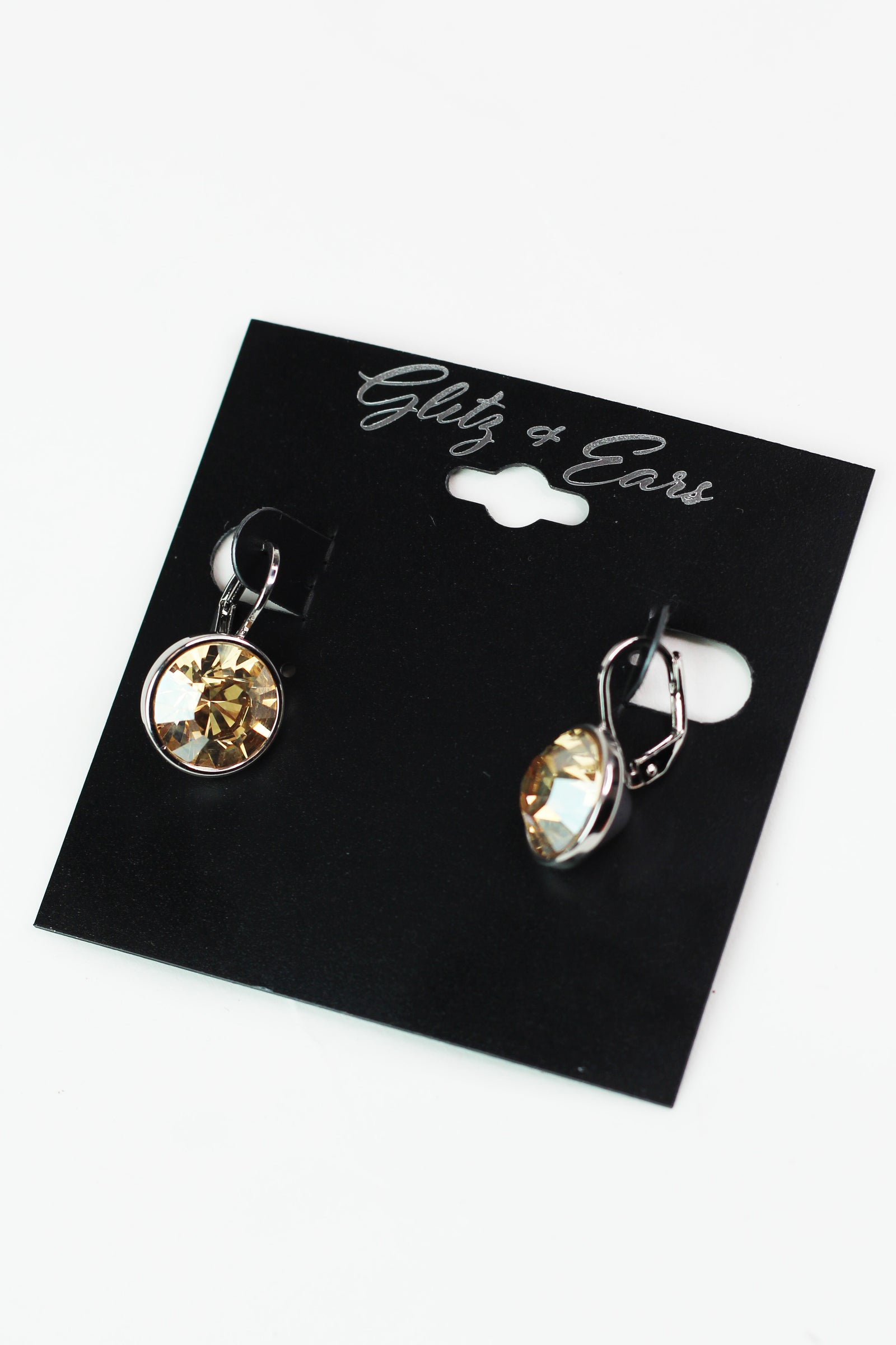 Large Stone Lever Back Silver Earring