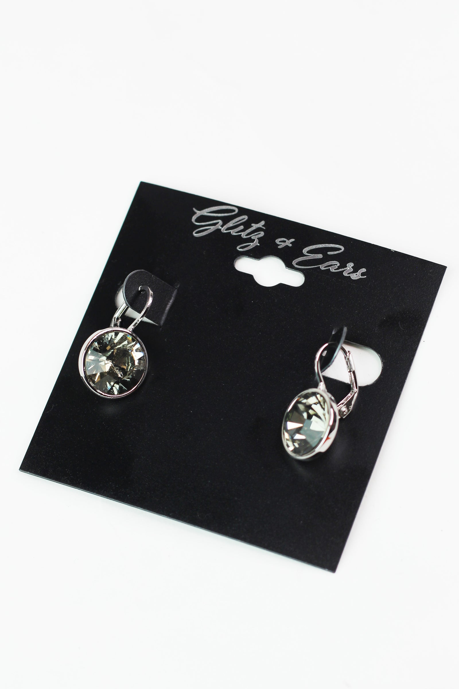 Large Stone Lever Back Silver Earring