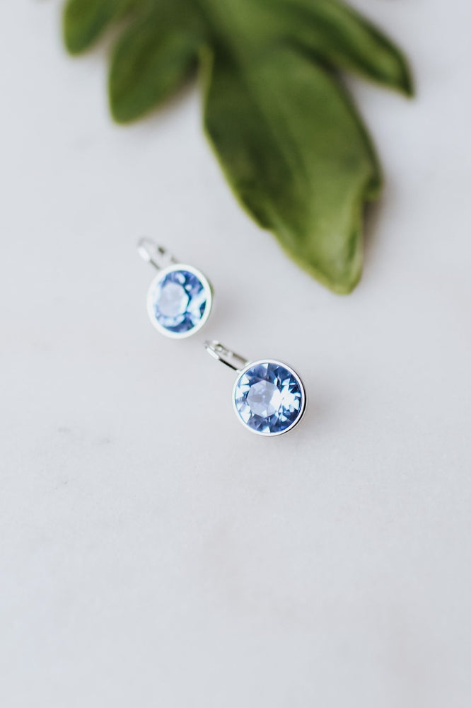 Large Stone Lever Back Silver Earring - Glitz & Ears Boutique