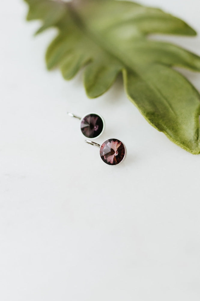 Large Stone Lever Back Silver Earring - Glitz & Ears Boutique