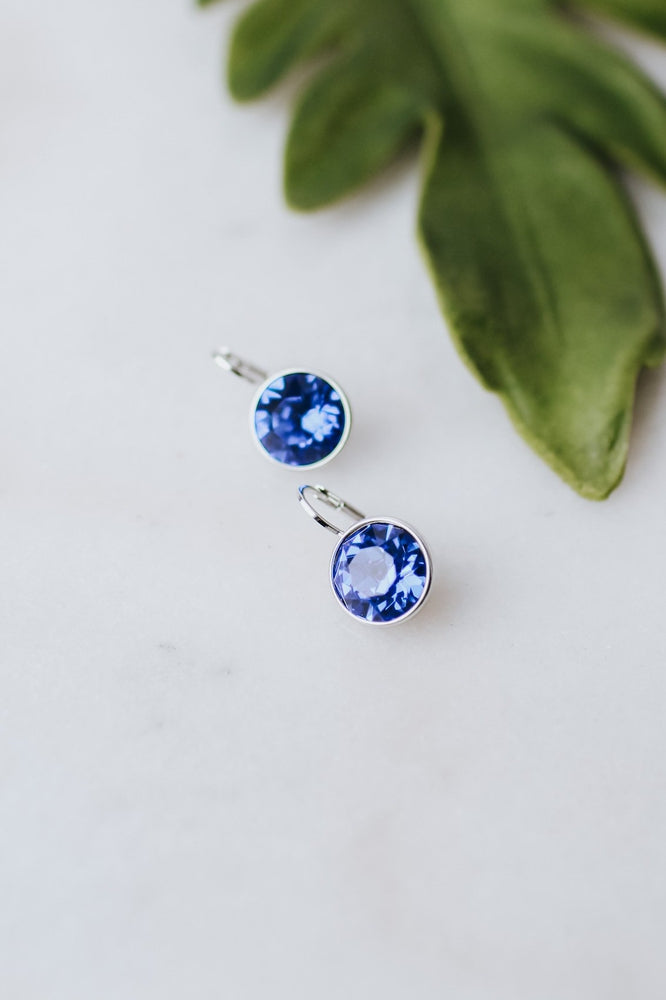 Large Stone Lever Back Silver Earring - Glitz & Ears Boutique