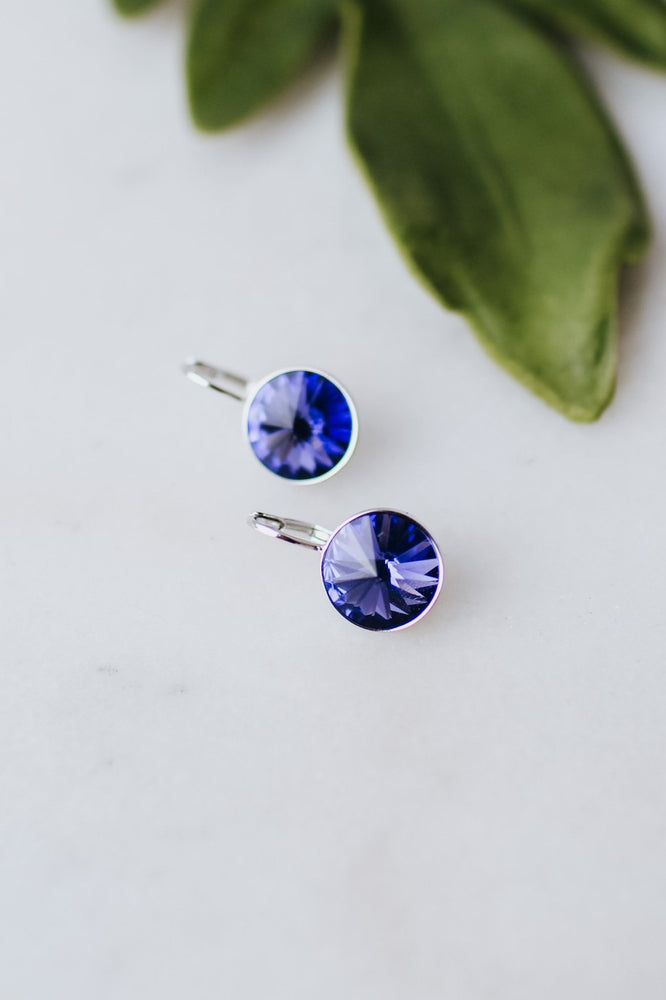 Large Stone Lever Back Silver Earring - Glitz & Ears Boutique