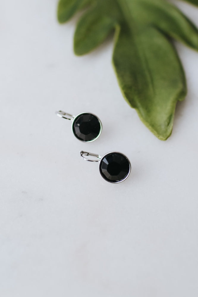 Large Stone Lever Back Silver Earring - Glitz & Ears Boutique