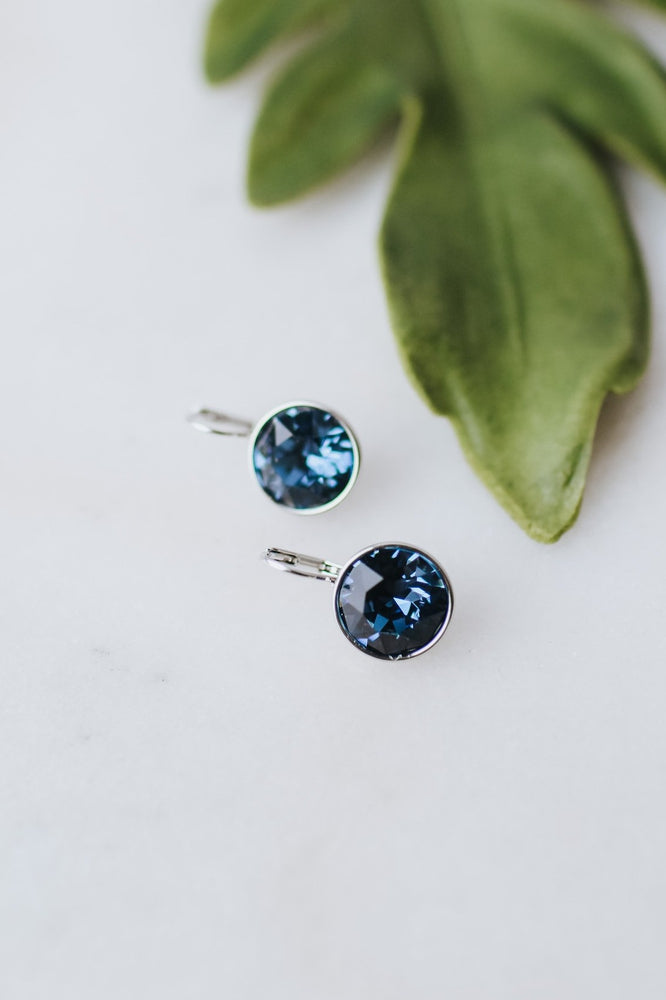 Large Stone Lever Back Silver Earring - Glitz & Ears Boutique