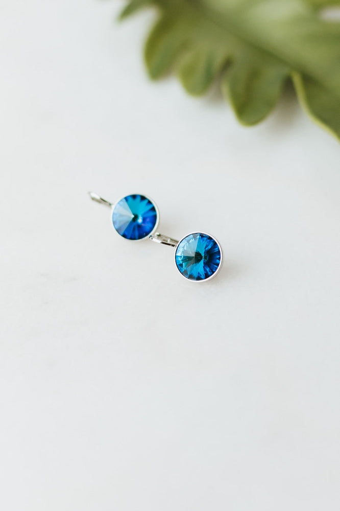 Large Stone Lever Back Silver Earring - Glitz & Ears Boutique