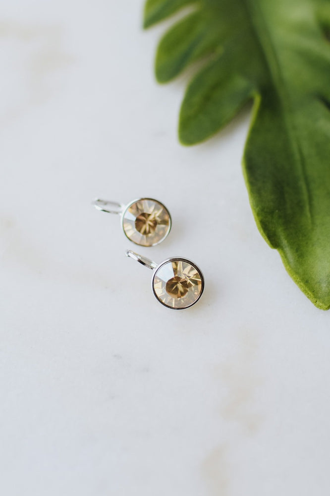 Large Stone Lever Back Silver Earring - Glitz & Ears Boutique