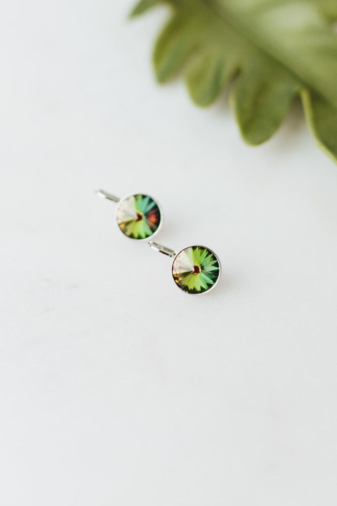 Large Stone Lever Back Silver Earring - Glitz & Ears Boutique