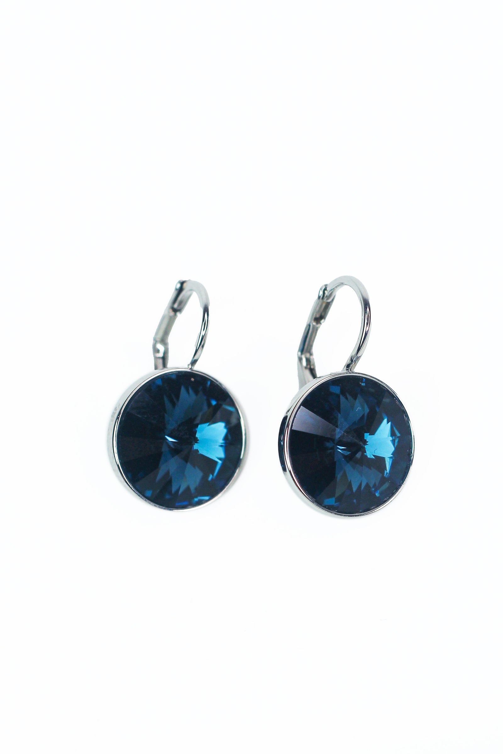 Large Stone Lever Back Silver Earring