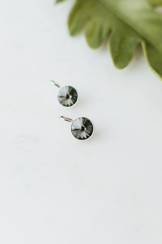 Large Stone Lever Back Silver Earring - Glitz & Ears Boutique