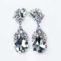 Pear Shape Rhinestone Top Dangle Earring