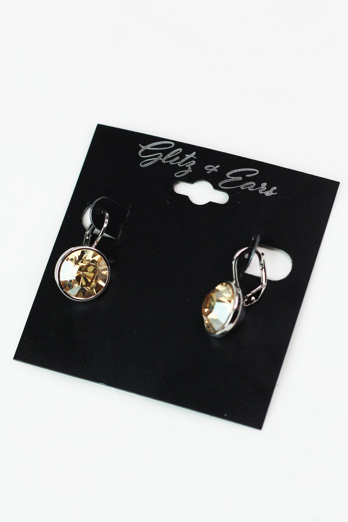 Large Stone Lever Back Silver Earring