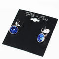 Large Stone Lever Back Silver Earring