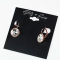 Large Stone Lever Back Silver Earring