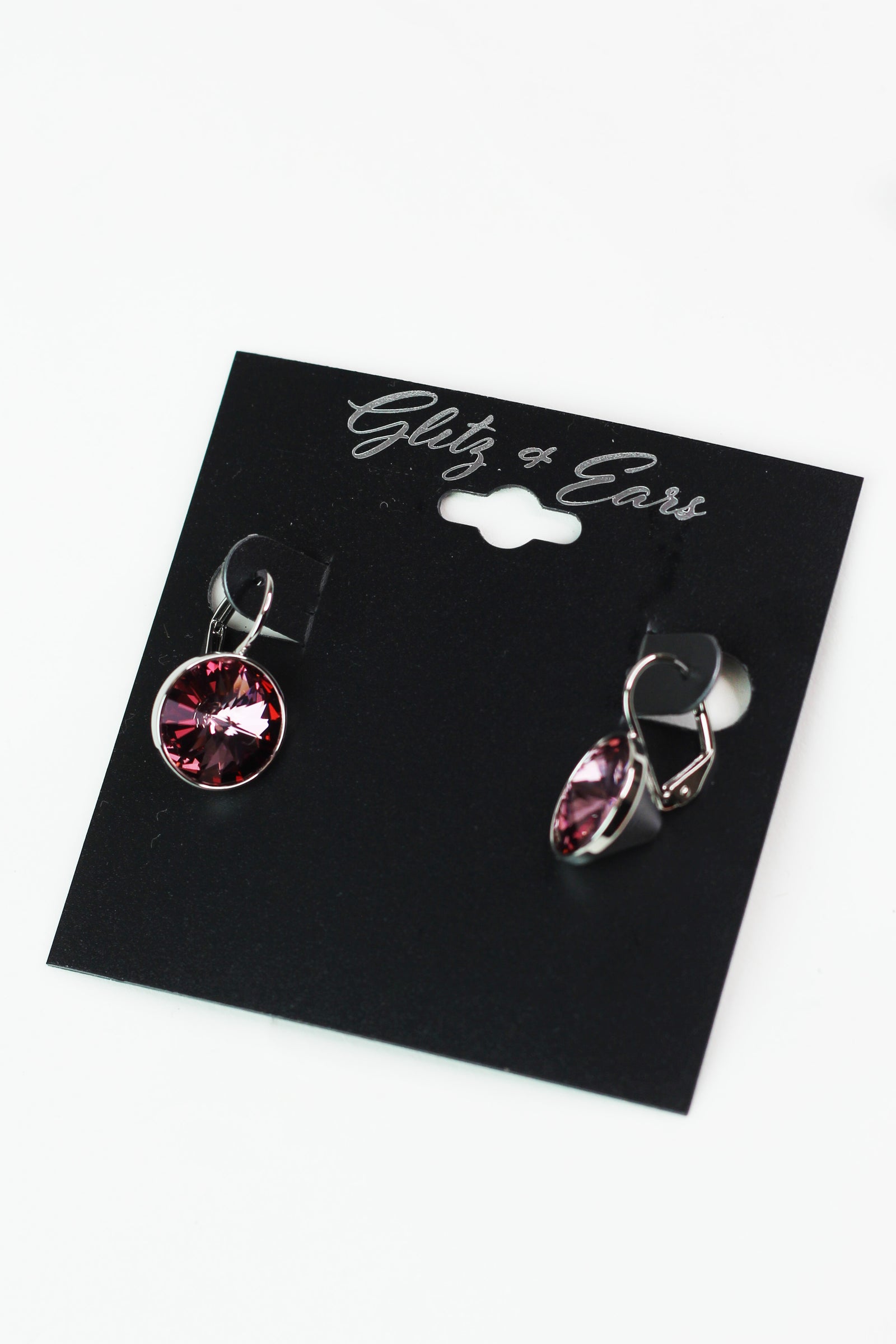 Large Stone Lever Back Silver Earring