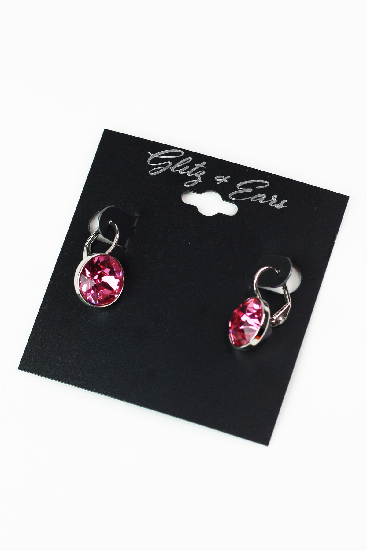Large Stone Lever Back Silver Earring
