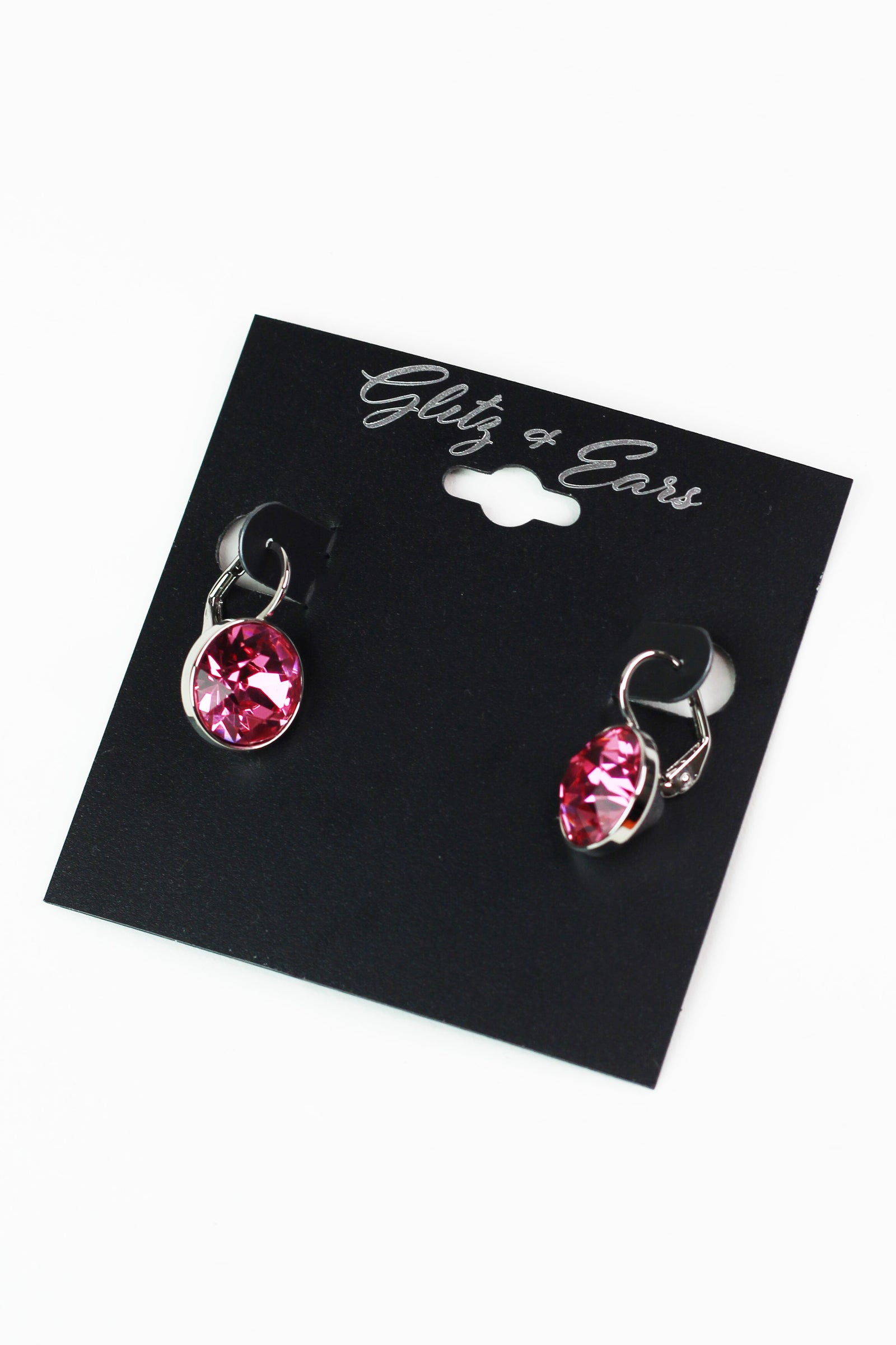 Large Stone Lever Back Silver Earring