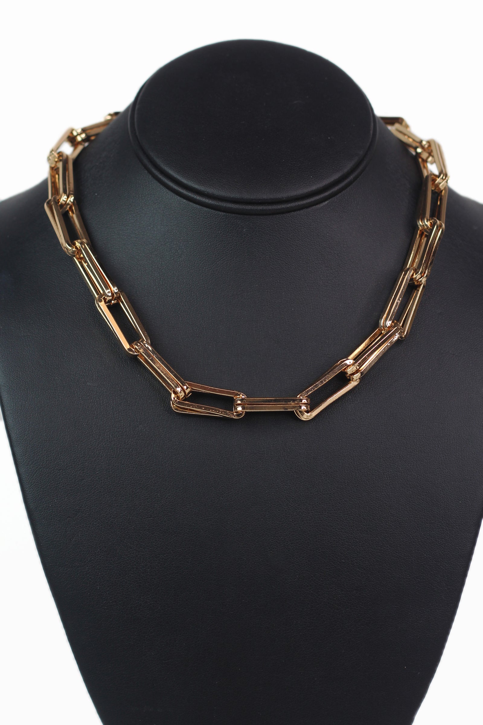 Thick Two Row Link Necklace