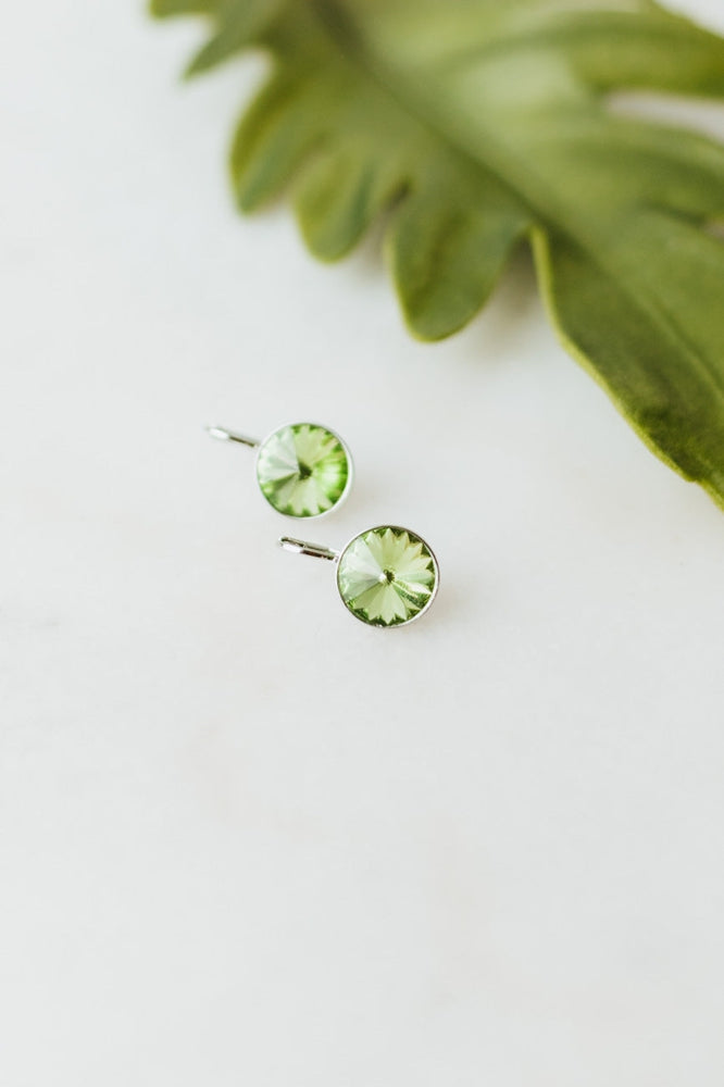 Large Stone Lever Back Silver Earring