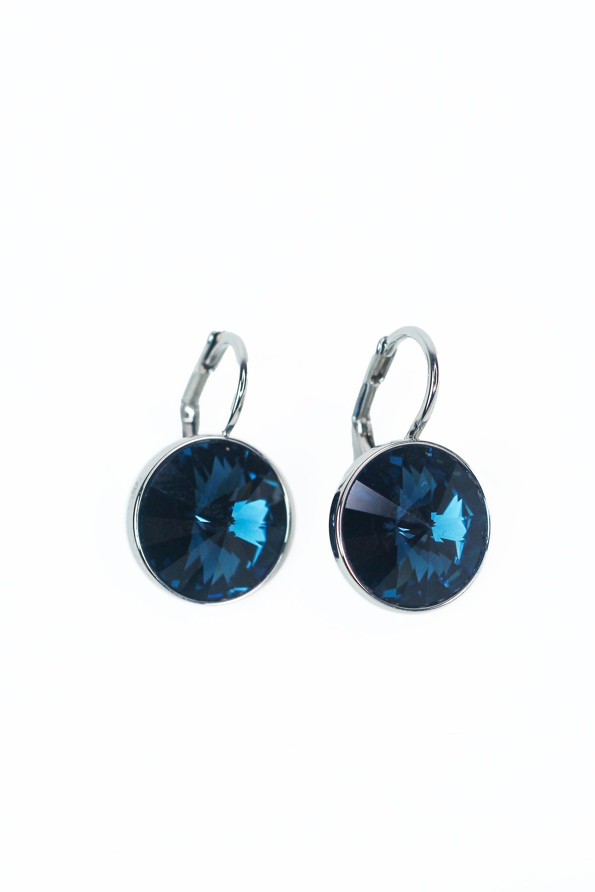 Large Stone Lever Back Silver Earring