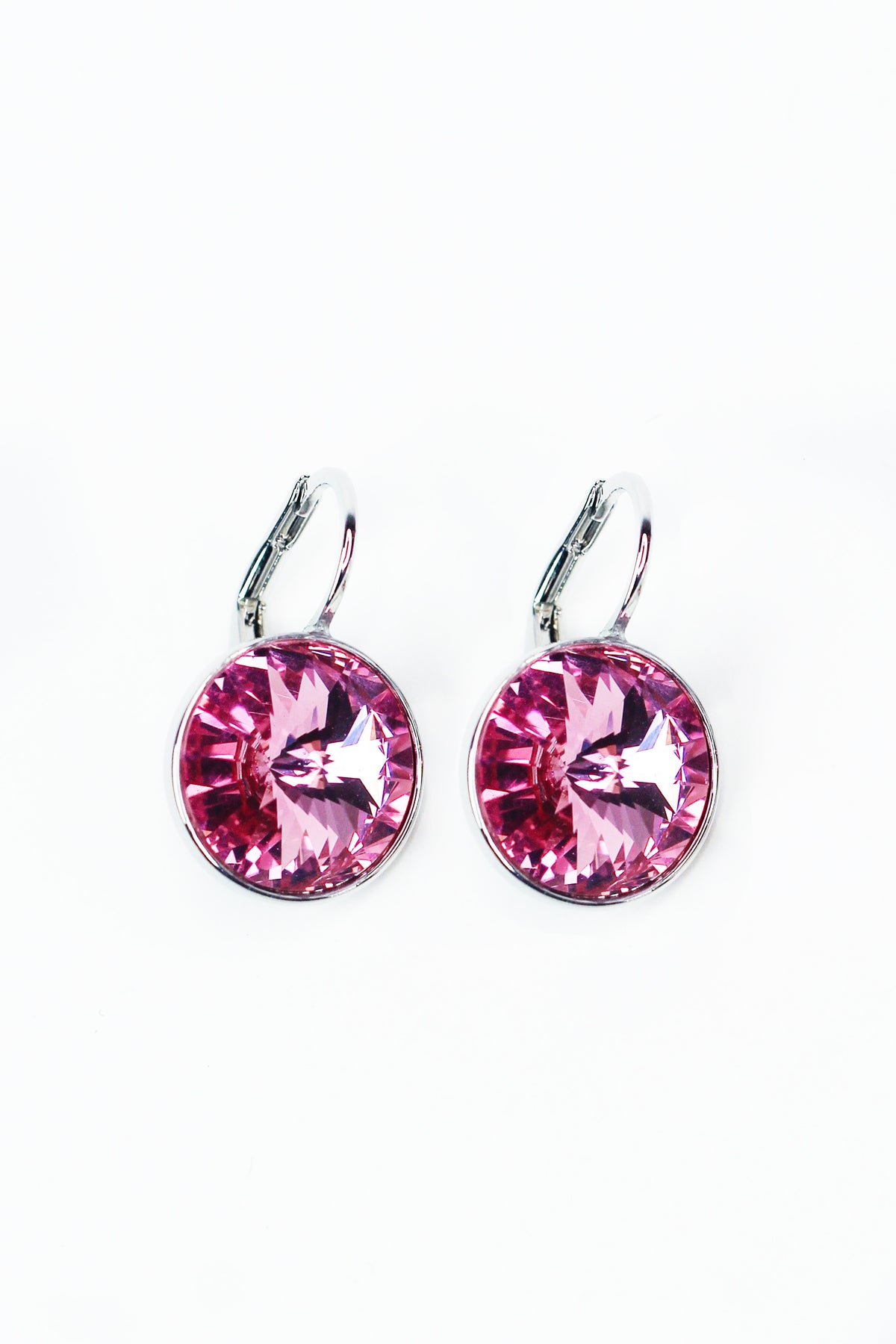Large Stone Lever Back Silver Earring