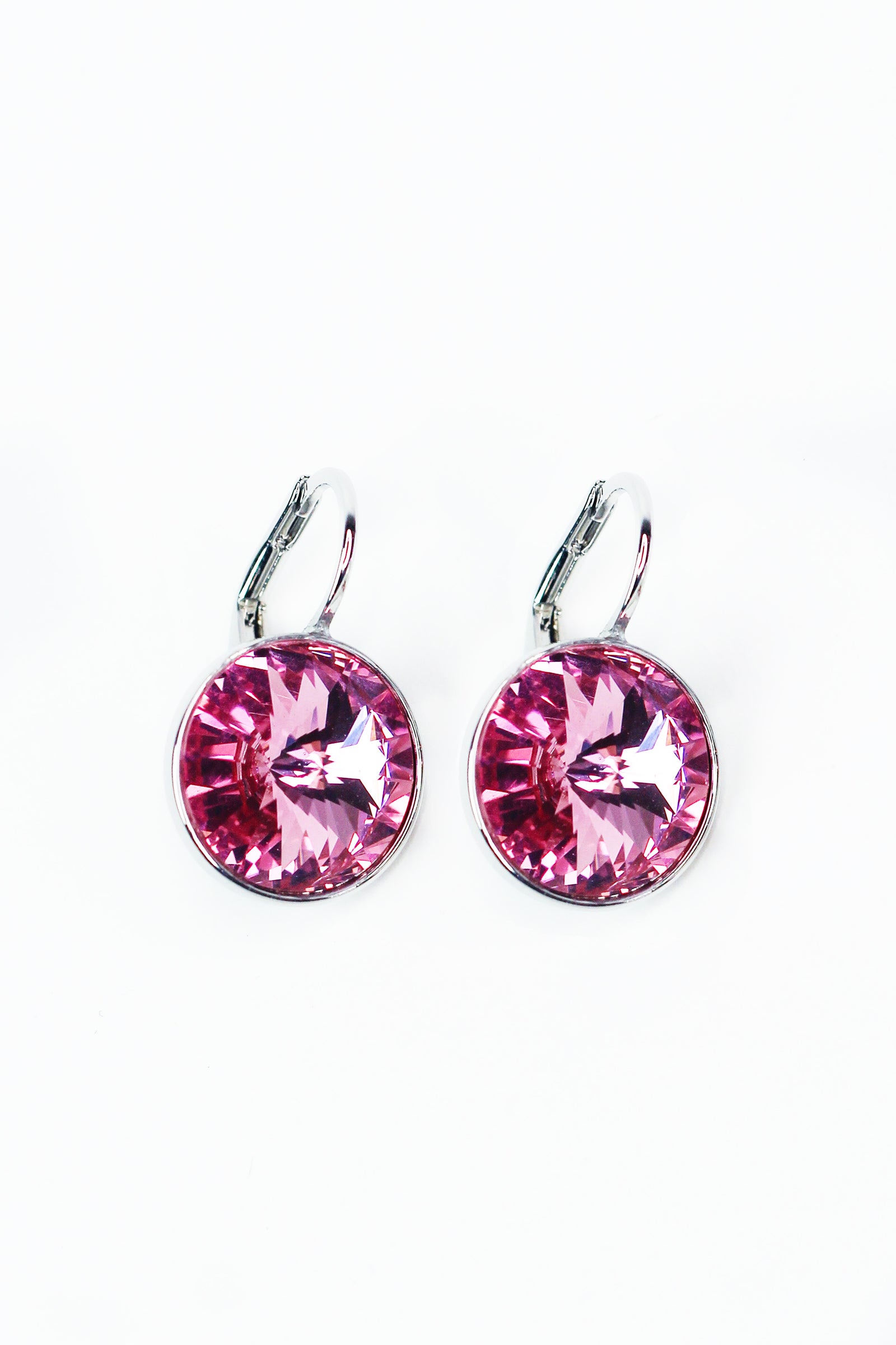 Large Stone Lever Back Silver Earring