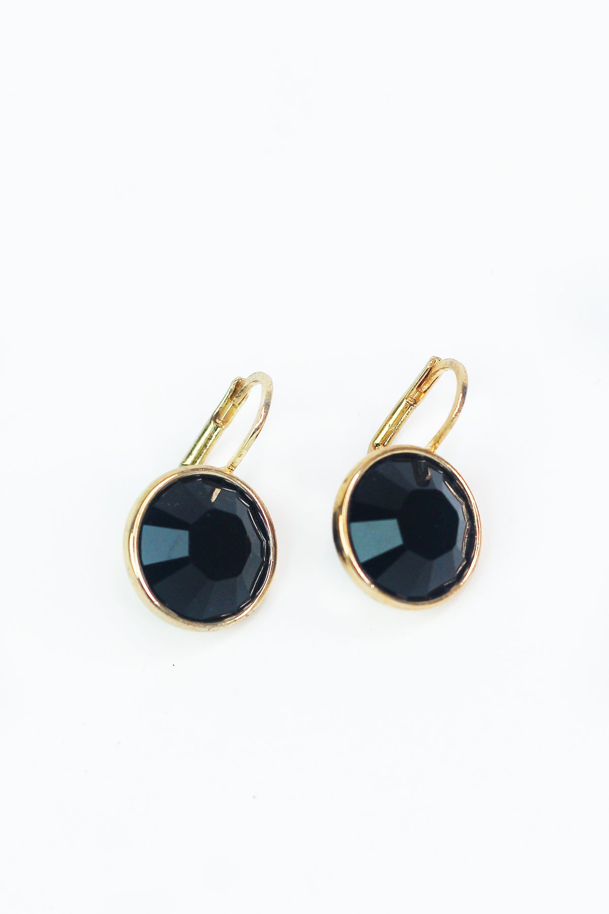 Large Stone Lever Back Gold Earring