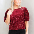 Velvet Sequin Round Neck Puff Sleeve Top