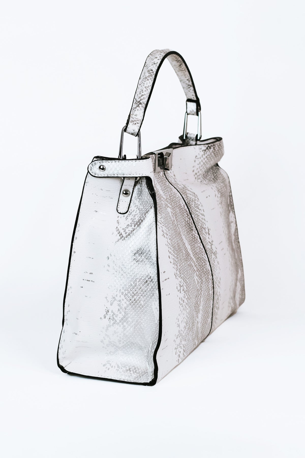 Snakeskin Purse w/ Silver Hardware