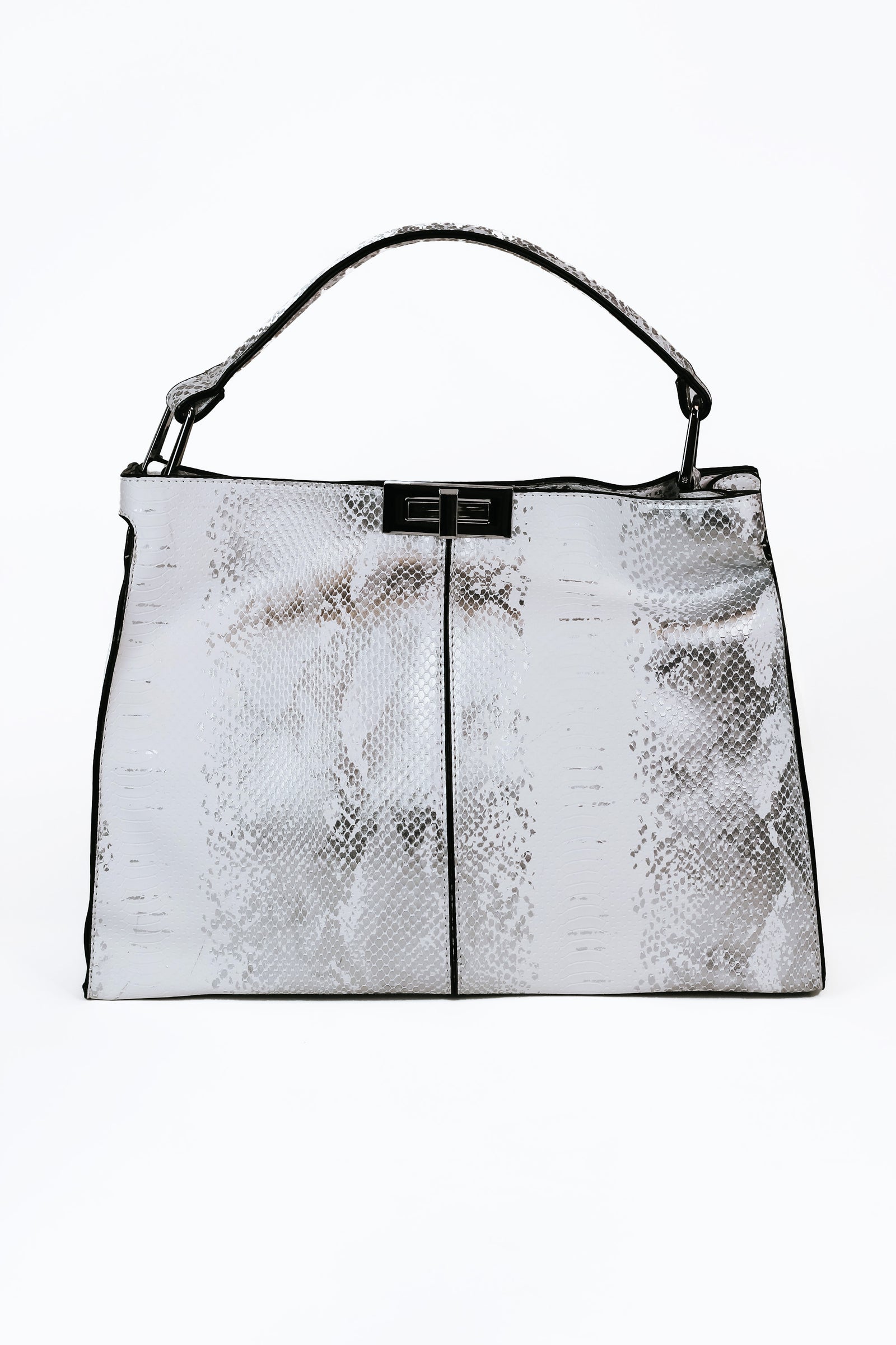 Snakeskin Purse w/ Silver Hardware